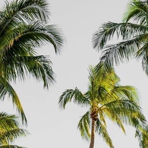 Meet your Posher, Jillian